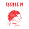Raven Bird Viking Smart