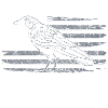 Crow Mystic Black Rune