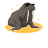 Walrus Walrus Walrus Walrus Gift