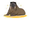 Walrus Walrus Gift