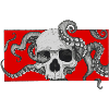 skull