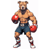 Pitbull in boxing training