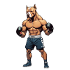 Pitbull in boxing training