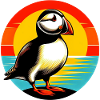 Atlantic Puffin