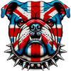 Bouledogue anglais Chien