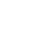 Abelisaurus dino