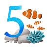 5 Months 5 Month