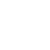 Geiger Geige Katze