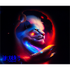 Lion Univers