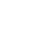Crown Shield icon