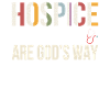 Hospice nurse