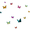 ELIF - Nome femminile con farfalle colorate