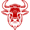 Bull Head Taurus