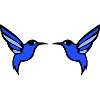 oiseau colibri 2