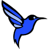 oiseau colibri