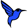 Colibri Oiseau