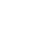 Mystic Raven with Skulls