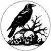 Mystic Raven with Skulls