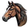 Portrait d'un beau cheval