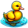 Duckling Duck Duck Duck