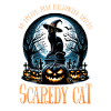 Joyeux Halloween, chat effrayé