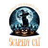 Joyeux Halloween, chat effrayé
