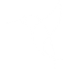 Sketch of a White Bird