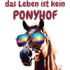 pferd