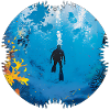 Weightlessness while diving