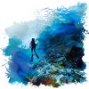 Weightless gliding while diving