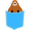 groundhog in a pocket