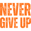 NEVER GIVE UP