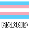 Trans Pride Flag Madrid