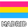 Pan Pride Flag Madrid