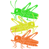Grasshopper
