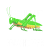 Grasshopper grasshopper