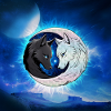 Two majestic wolf heads,