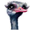 Ostrich Makeup