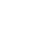 Golden Retriever Dog
