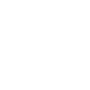 Golden Retriever Dog