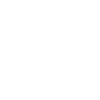 Pointer anglais