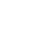 Pomeranian Pomeranian Pomeranian