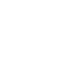 Shih Tzu Shih Tzu Shih Tzu