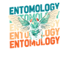 Entomology Entomologist Insect