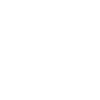 Tiger Tribal Moon Phases