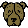 Chien