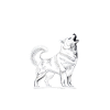 Siberian Husky