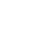 Freedom: Light Bird Flight