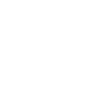 L’inspecteur en tant que profession