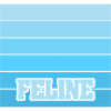 Women's name Feline